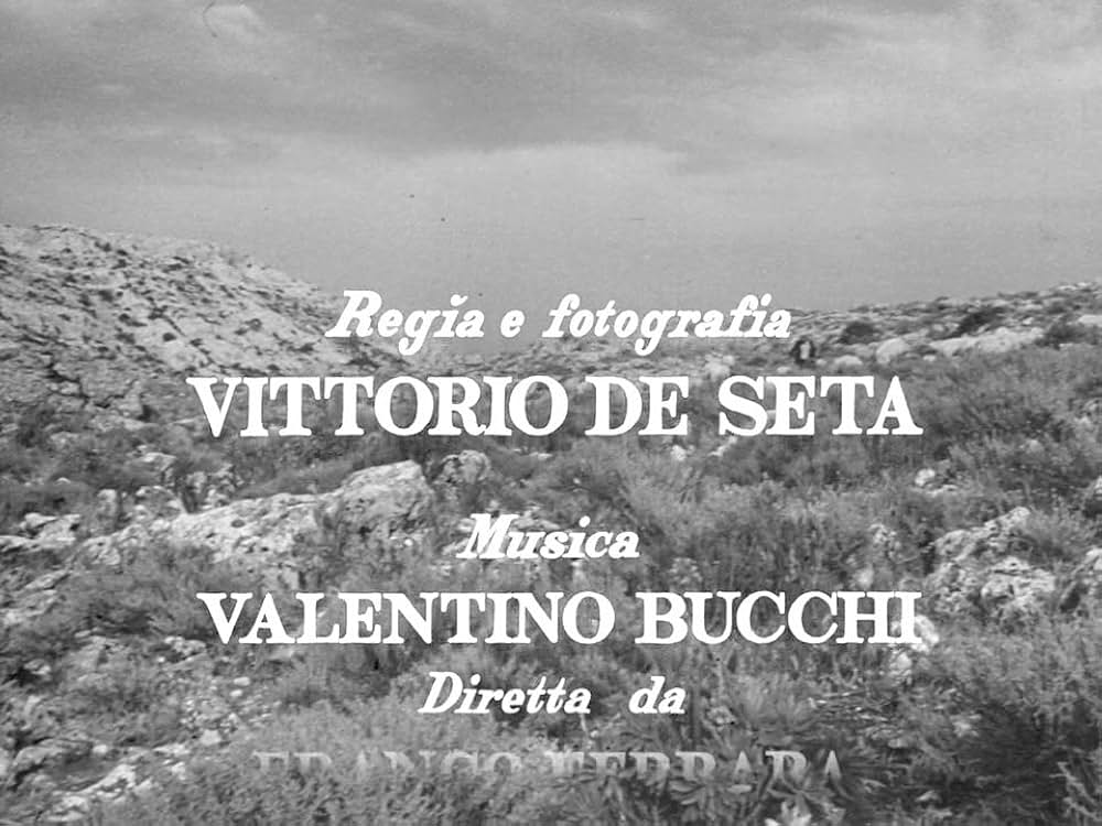 オルゴソロの盗賊の画像