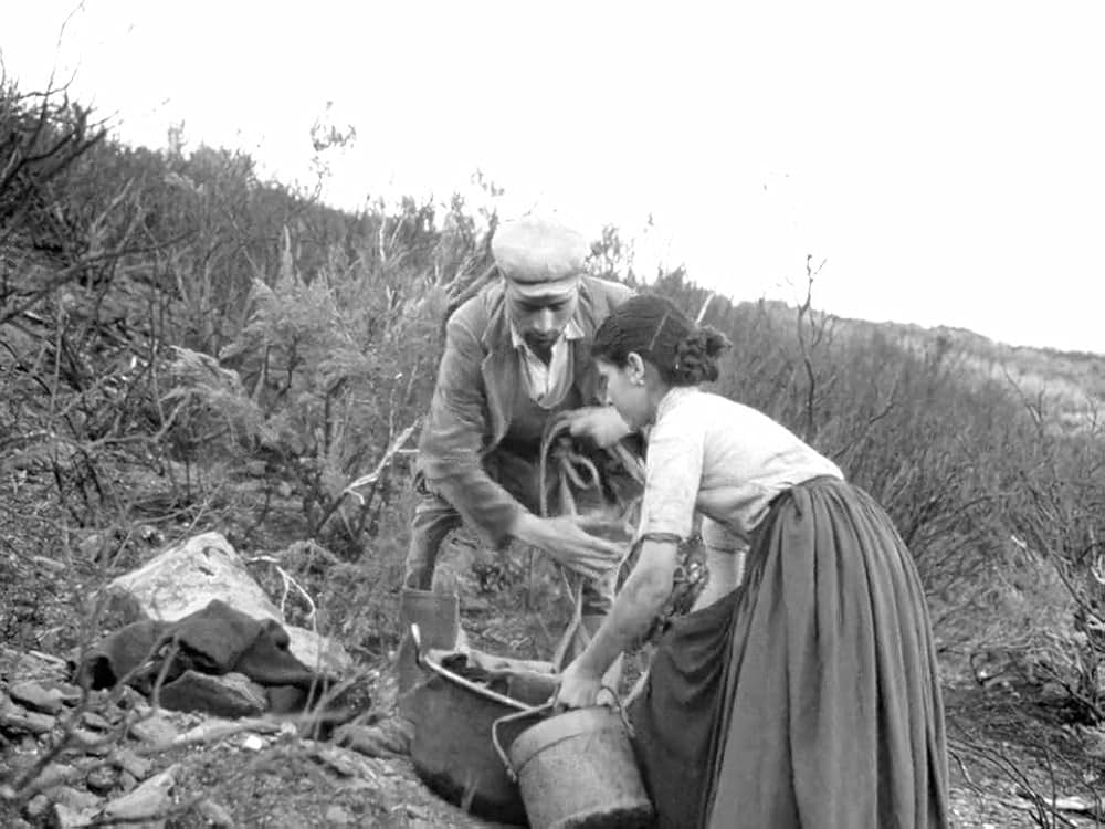 オルゴソロの盗賊の画像