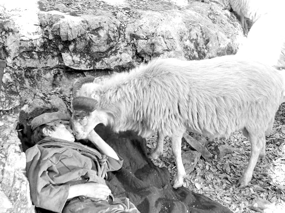 オルゴソロの盗賊の画像