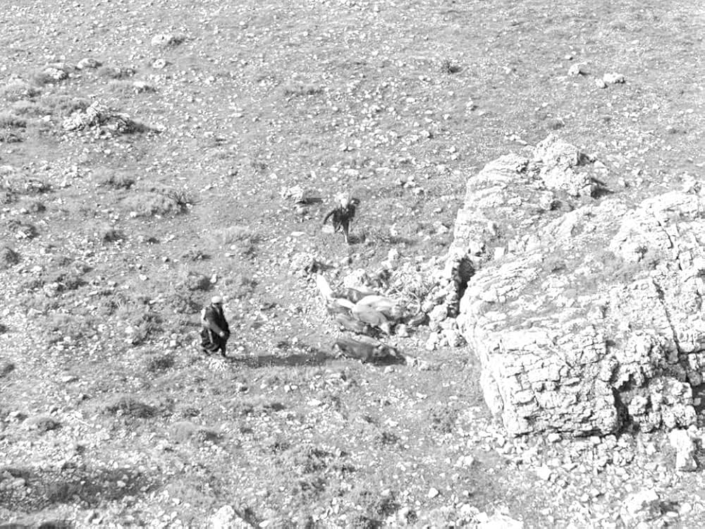 オルゴソロの盗賊の画像