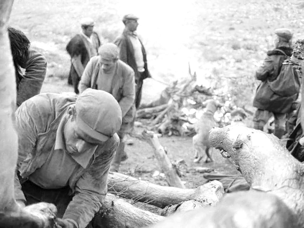 オルゴソロの盗賊の画像