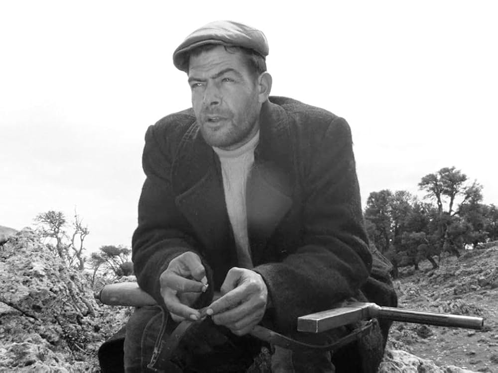 オルゴソロの盗賊の画像