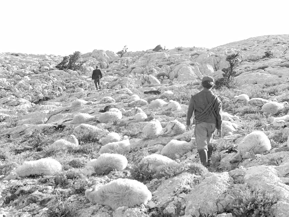 オルゴソロの盗賊の画像