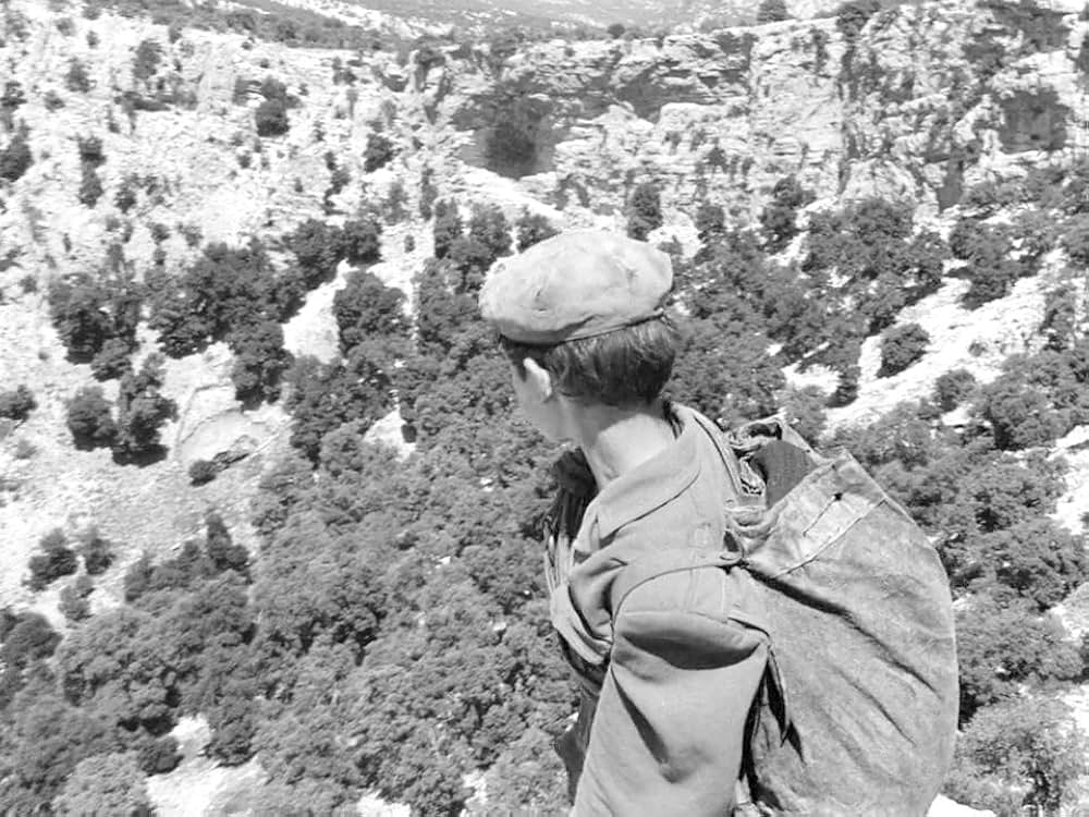 オルゴソロの盗賊の画像