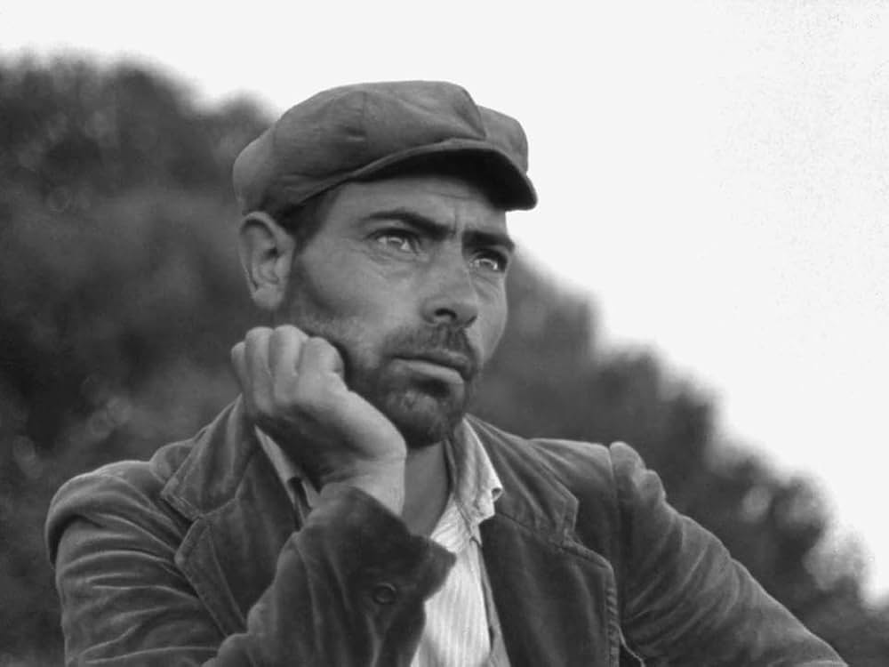 オルゴソロの盗賊の写真