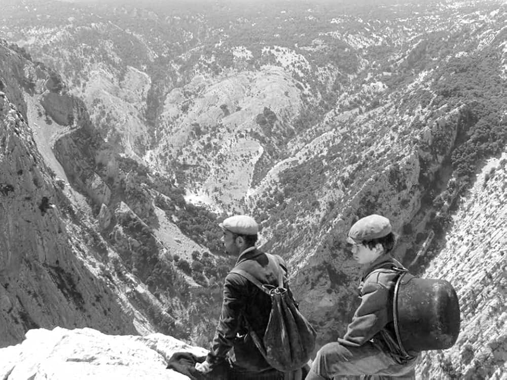 オルゴソロの盗賊の画像