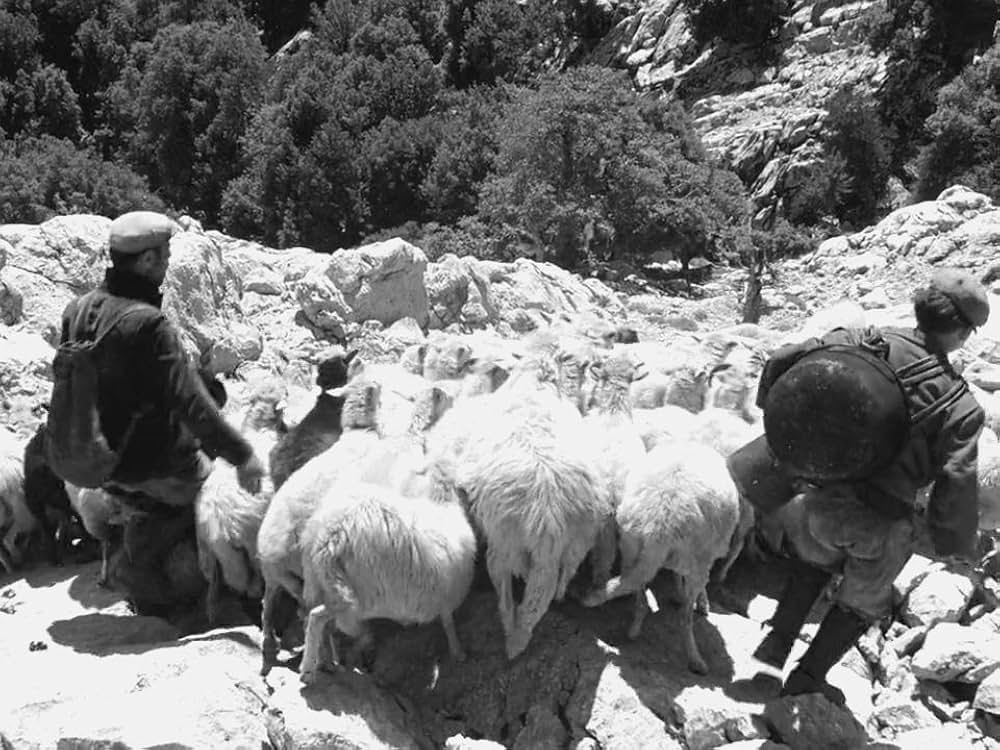 オルゴソロの盗賊の画像