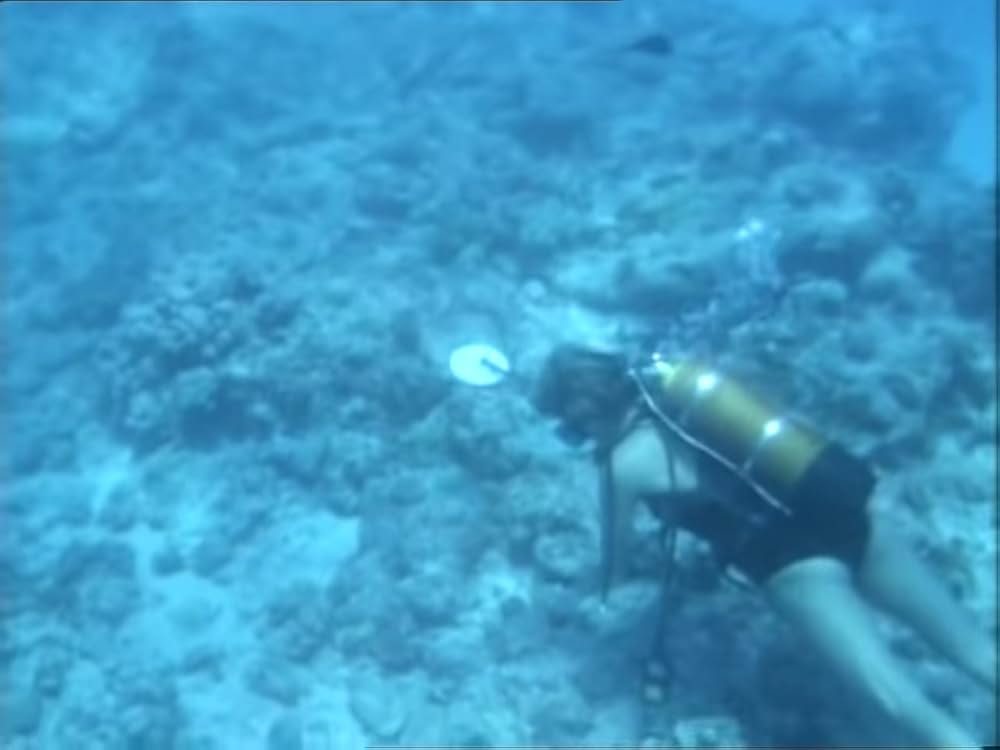 エル・ディアボロ／カリブに棲む悪魔の画像