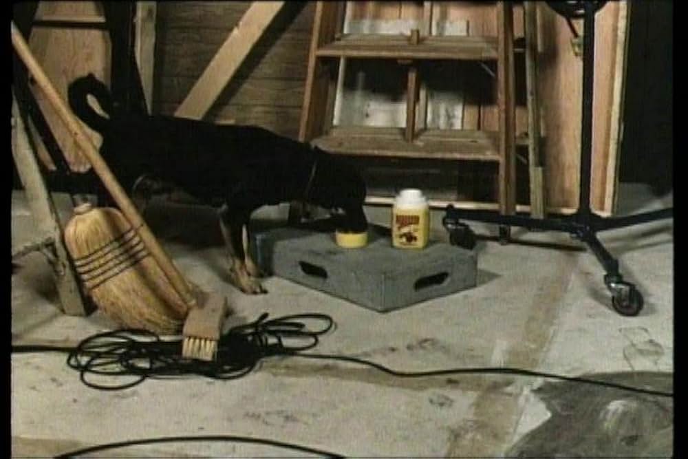 毒ガス学園・スカンクスの画像