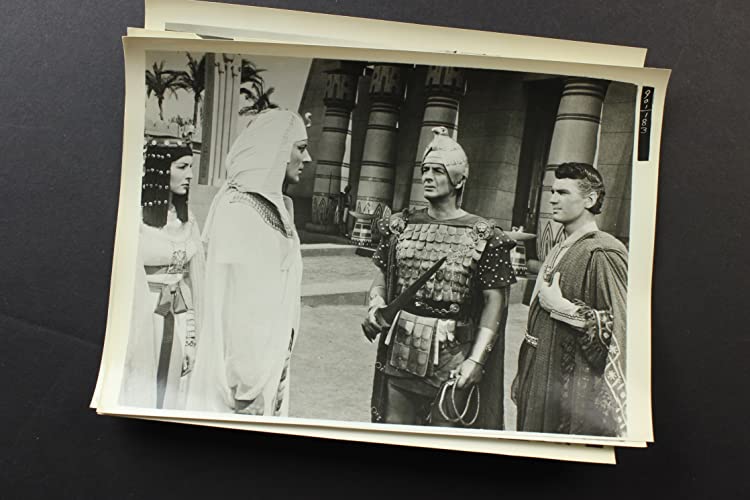 「エジプト人」ジーン・ティアニー & ビクター・マチュア & エドマンド・パードム & マイケル・ワイルディングの画像