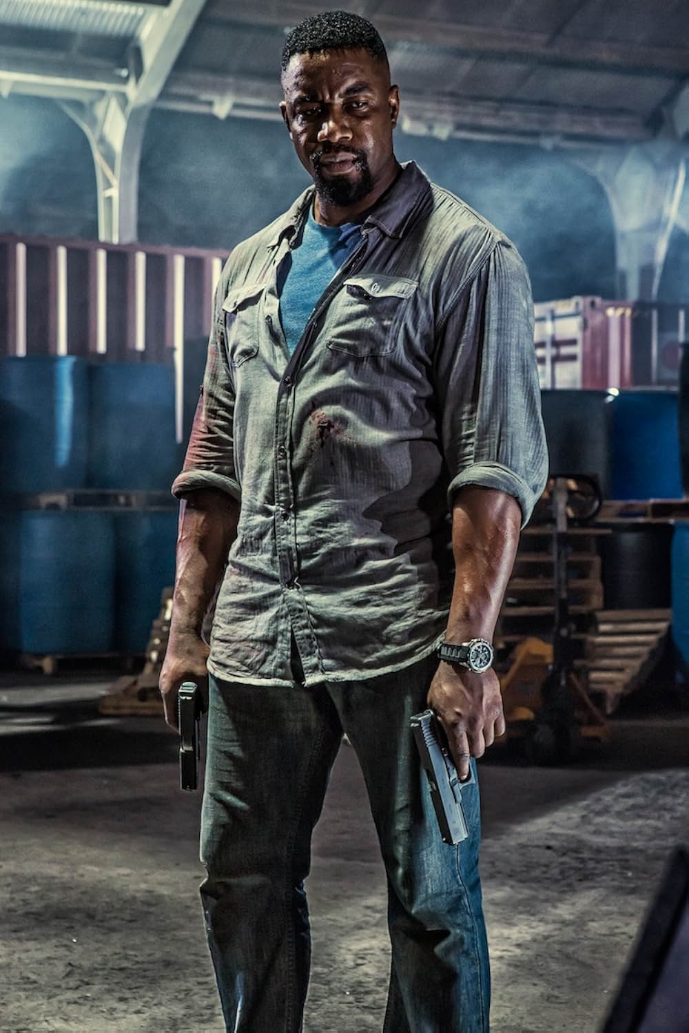 ファルコン・ライジングの画像