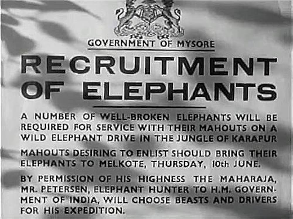 カラナグの画像