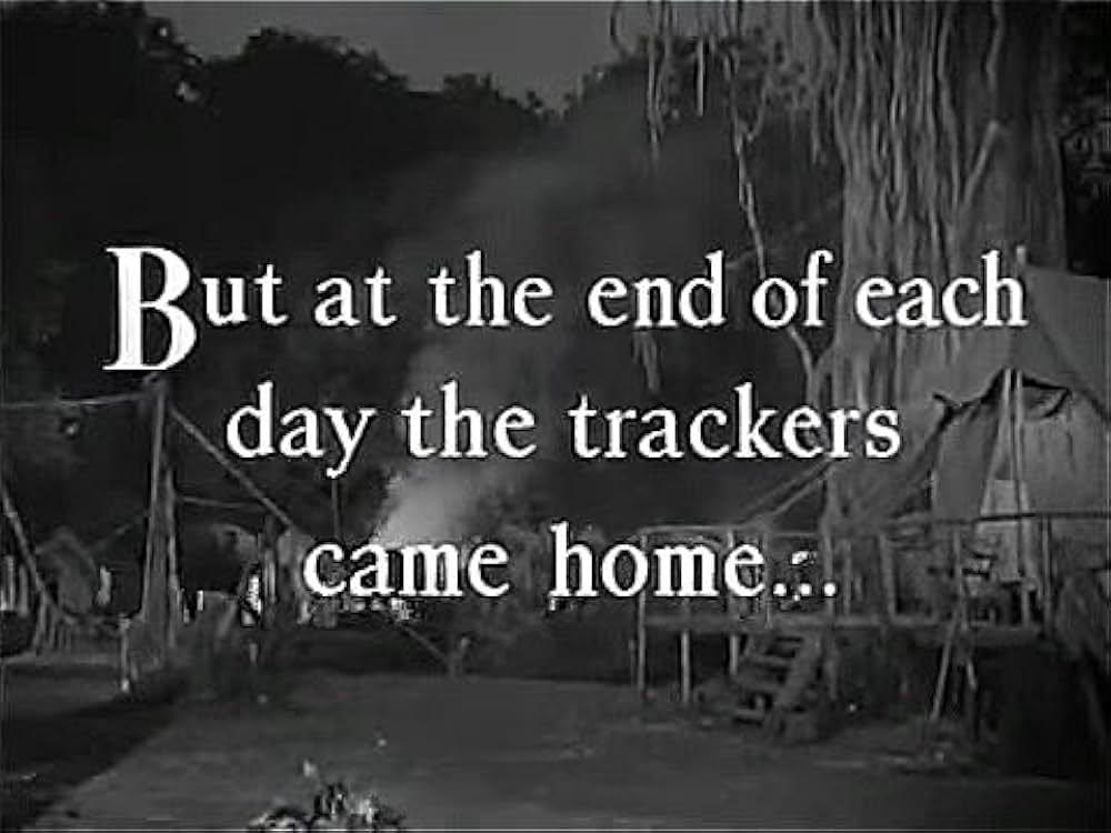 カラナグの画像