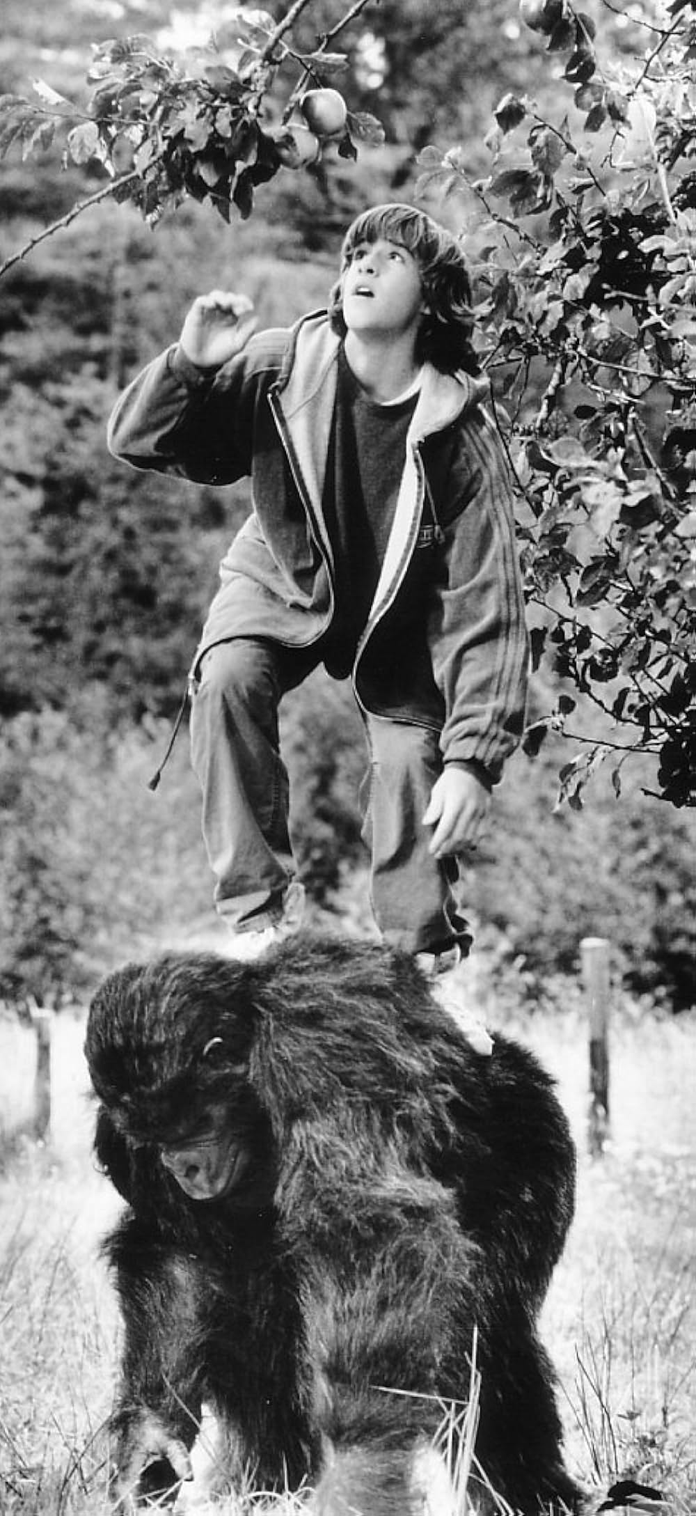 ケイティの画像