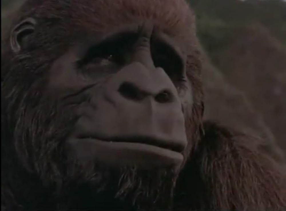 ケイティの画像