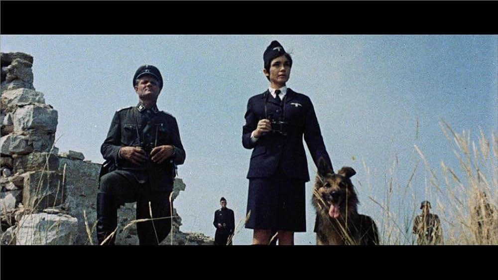 クロス・イーグル作戦の画像