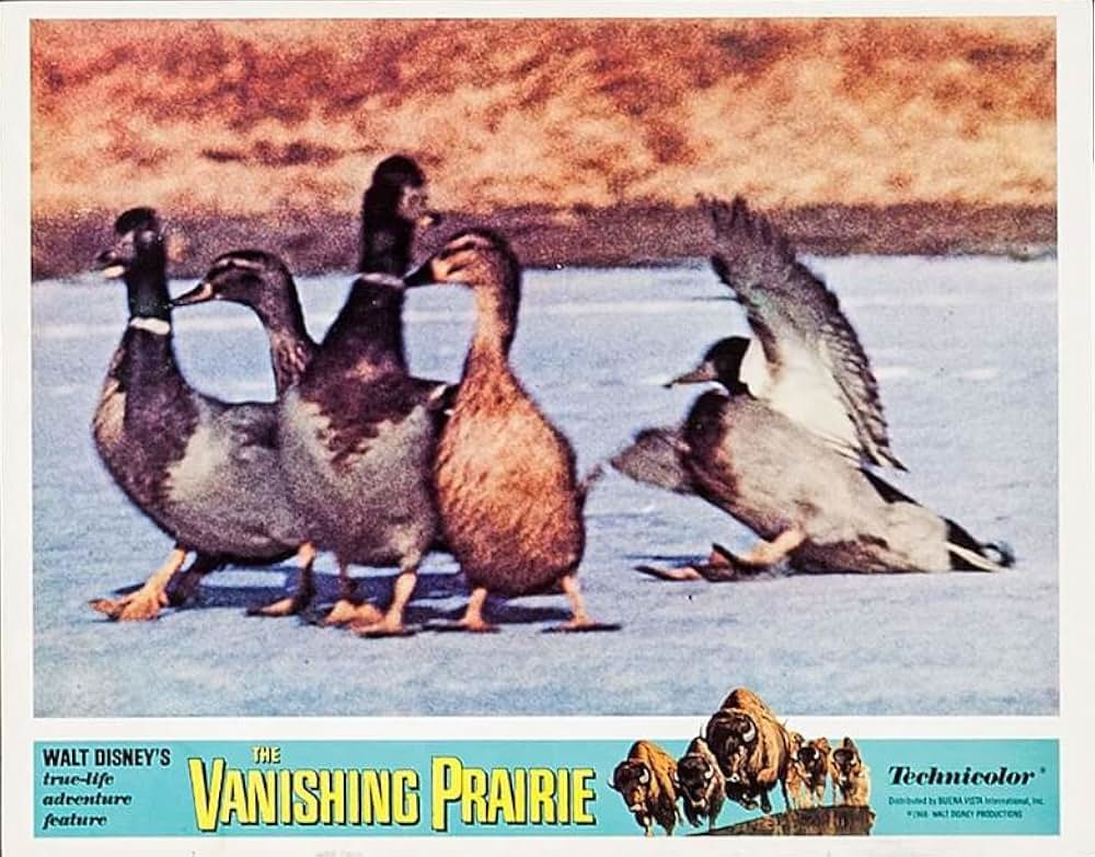 滅びゆく大草原の画像