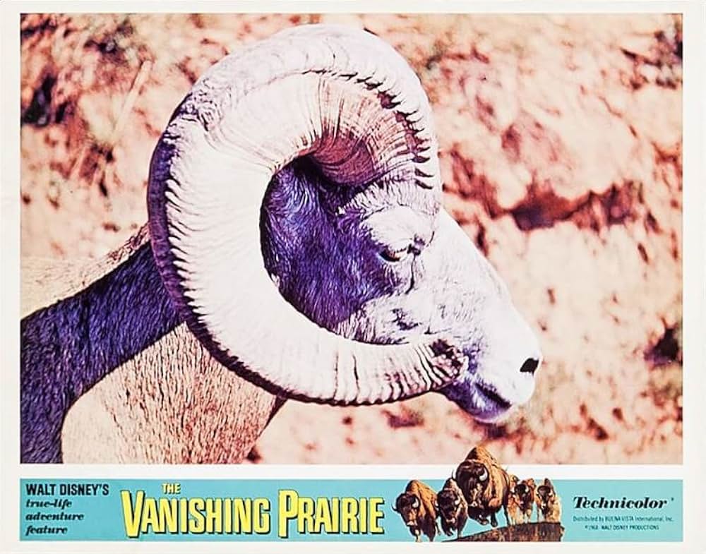 滅びゆく大草原の画像