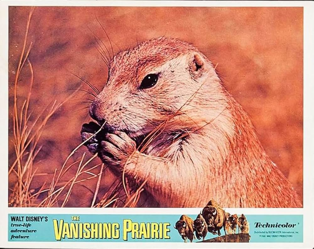 滅びゆく大草原の画像