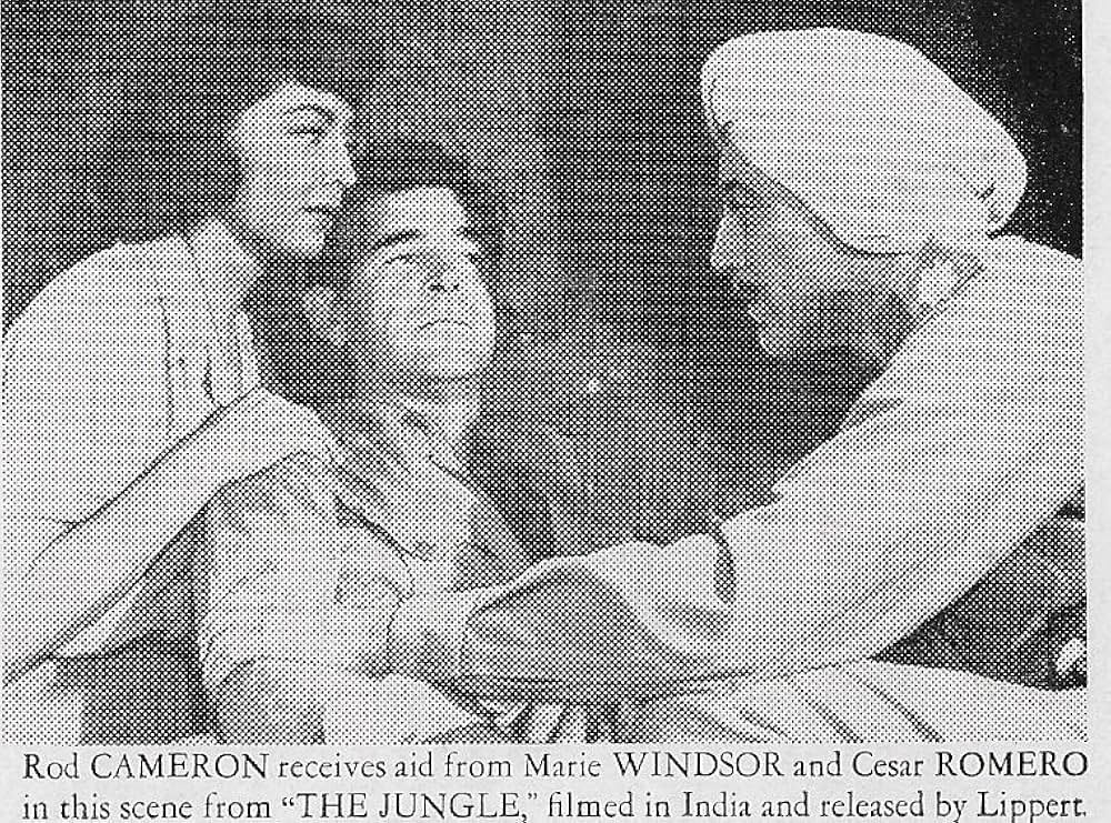 マンモスの逆襲の写真