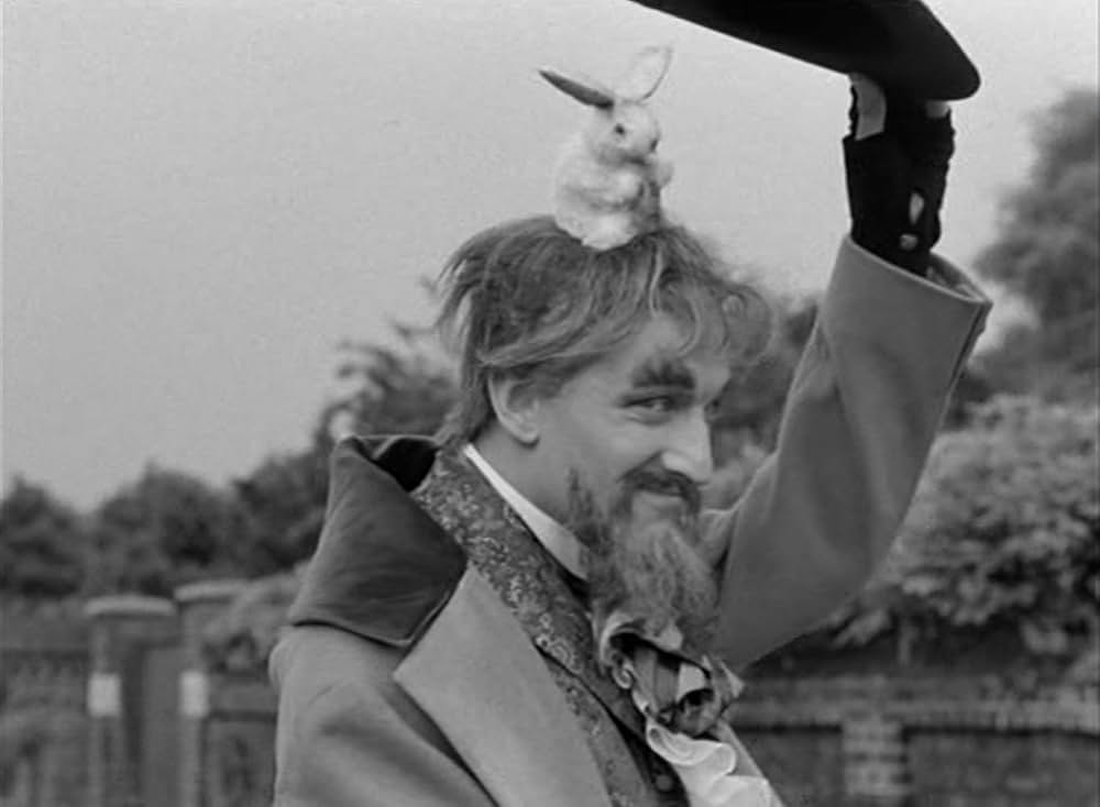 謎の訪問者の画像