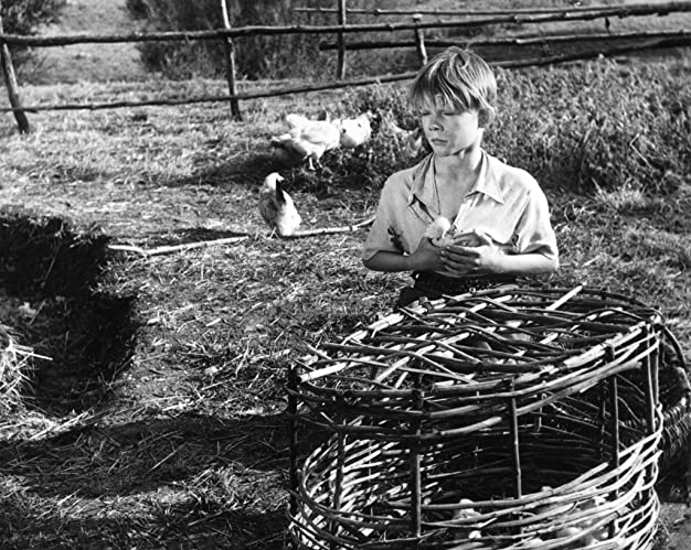 禁じられた遊びの画像