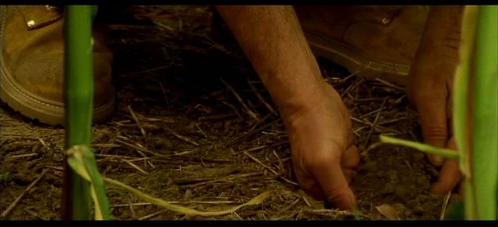 パール・ダイバー あの日を忘れないの写真