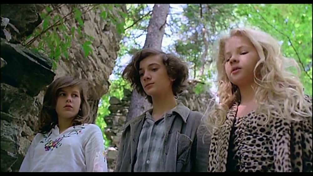 思春の森の画像