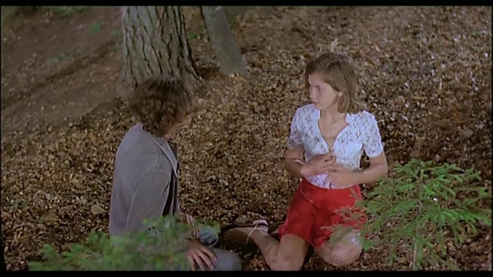 思春の森の画像