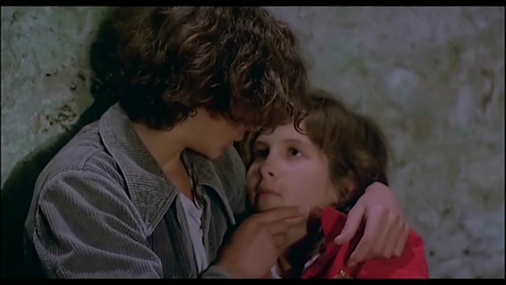 思春の森の画像