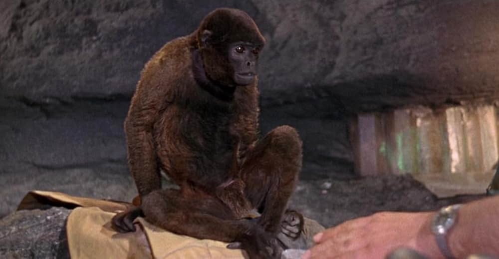 火星着陸第1号の画像