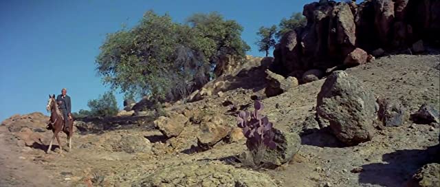 折れた槍の画像