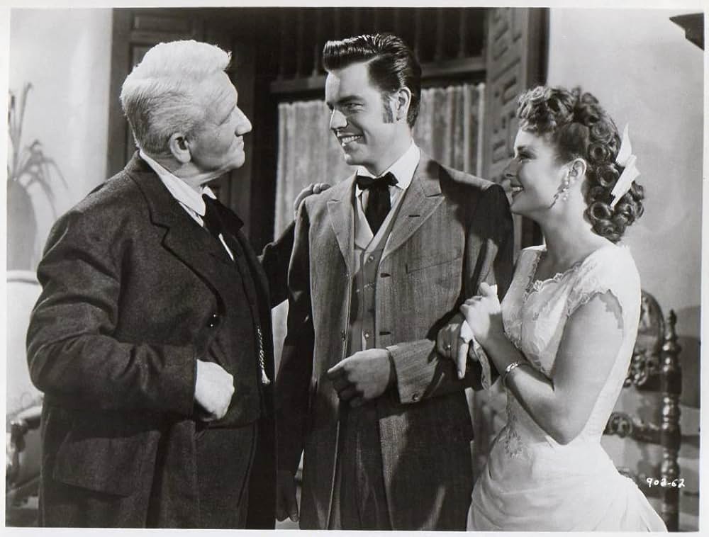 折れた槍の画像