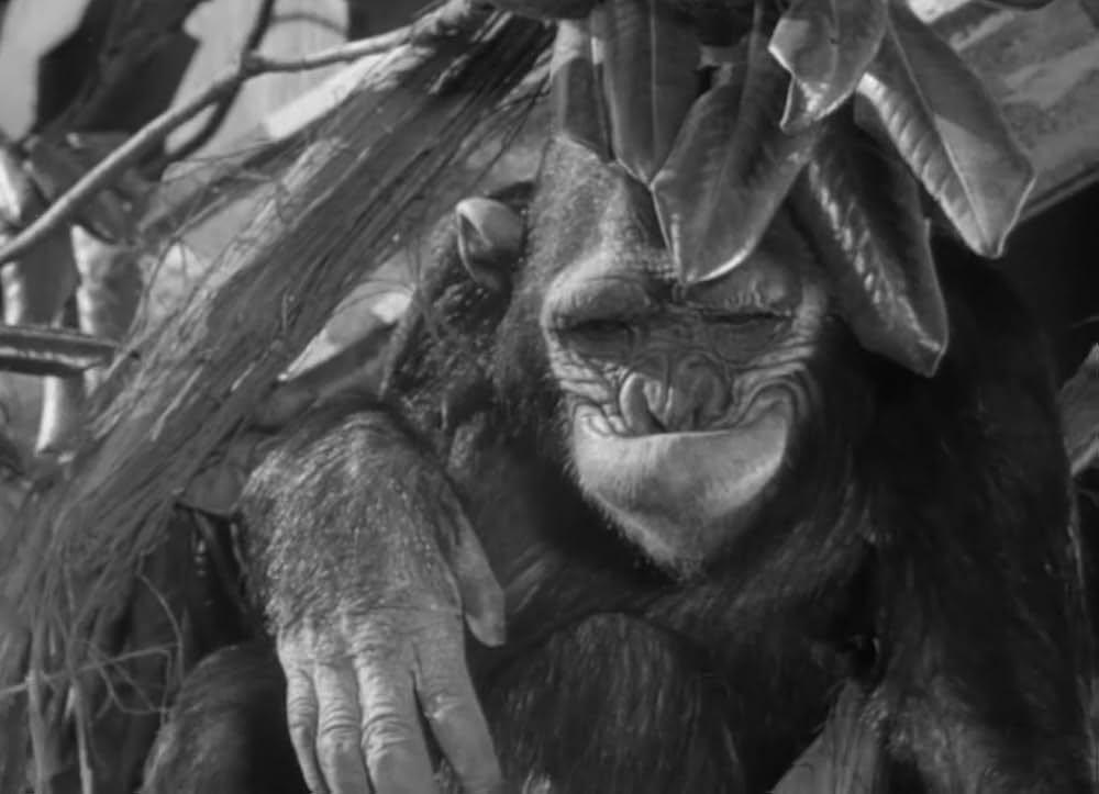 ターザン砂漠へ行くの画像