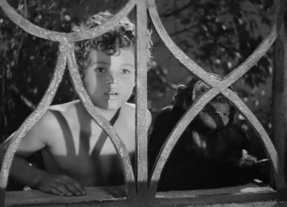 ターザン砂漠へ行くの画像