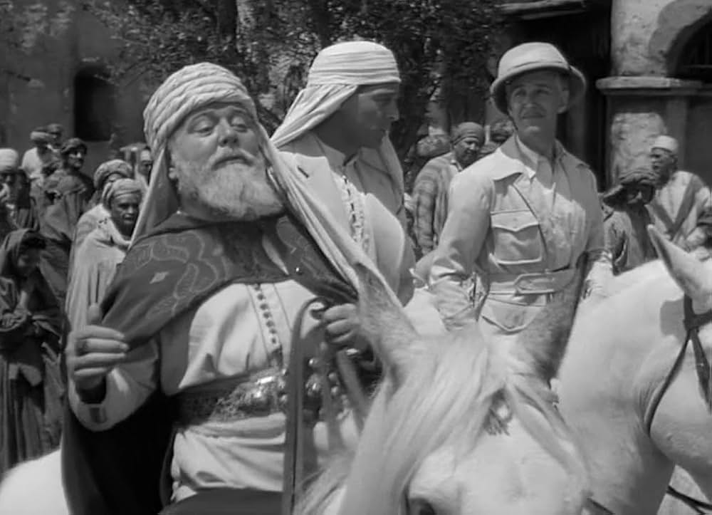 ターザン砂漠へ行くの写真