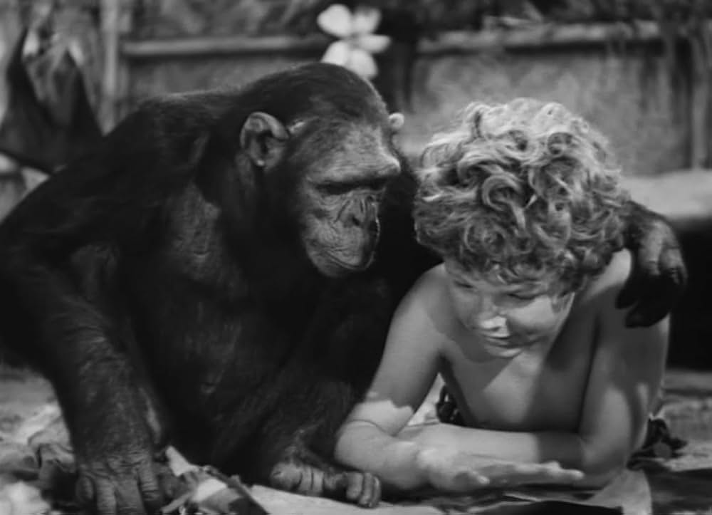 ターザン砂漠へ行くの画像