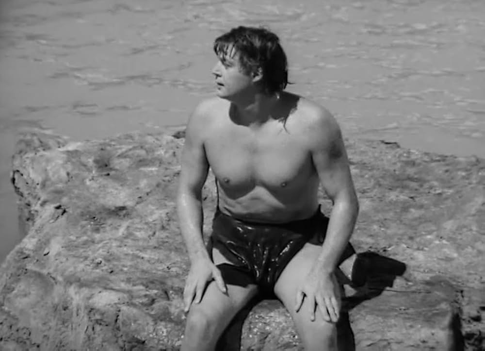 ターザン砂漠へ行くの画像