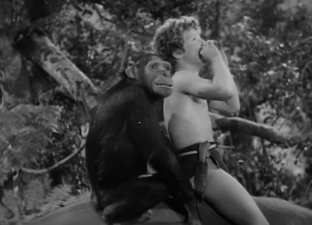 ターザン砂漠へ行くの画像