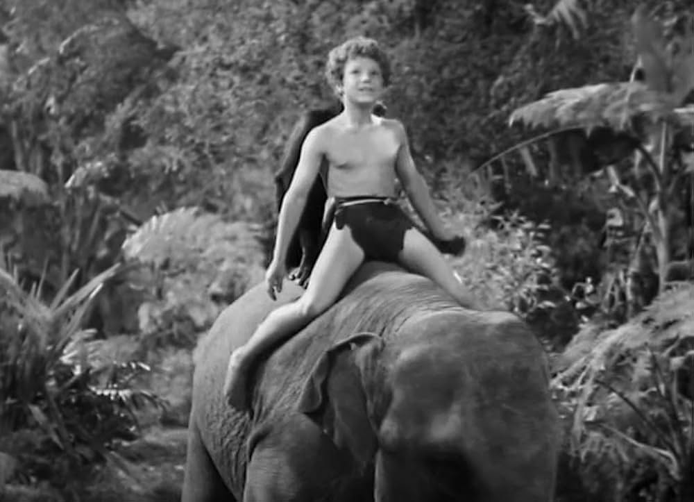 ターザン砂漠へ行くの画像