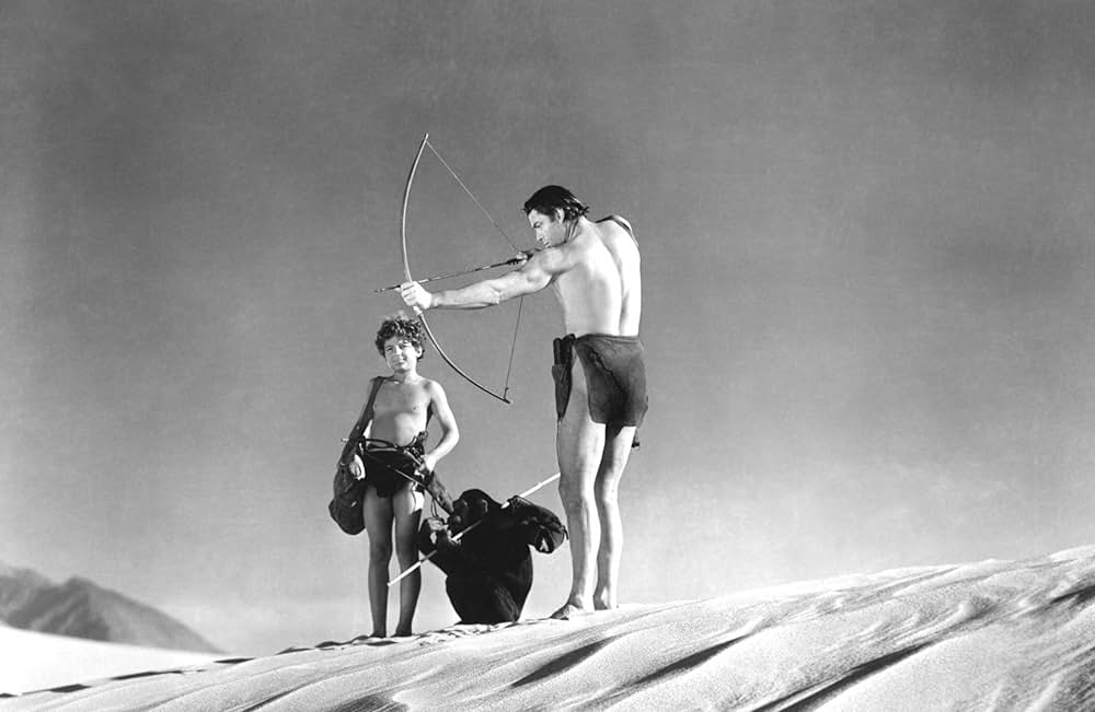 ターザン砂漠へ行くの画像