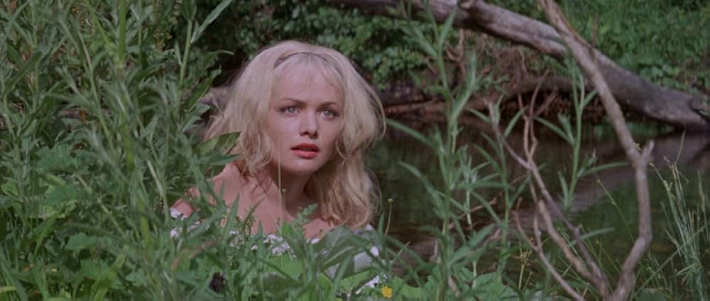 シャーウッドの剣の画像