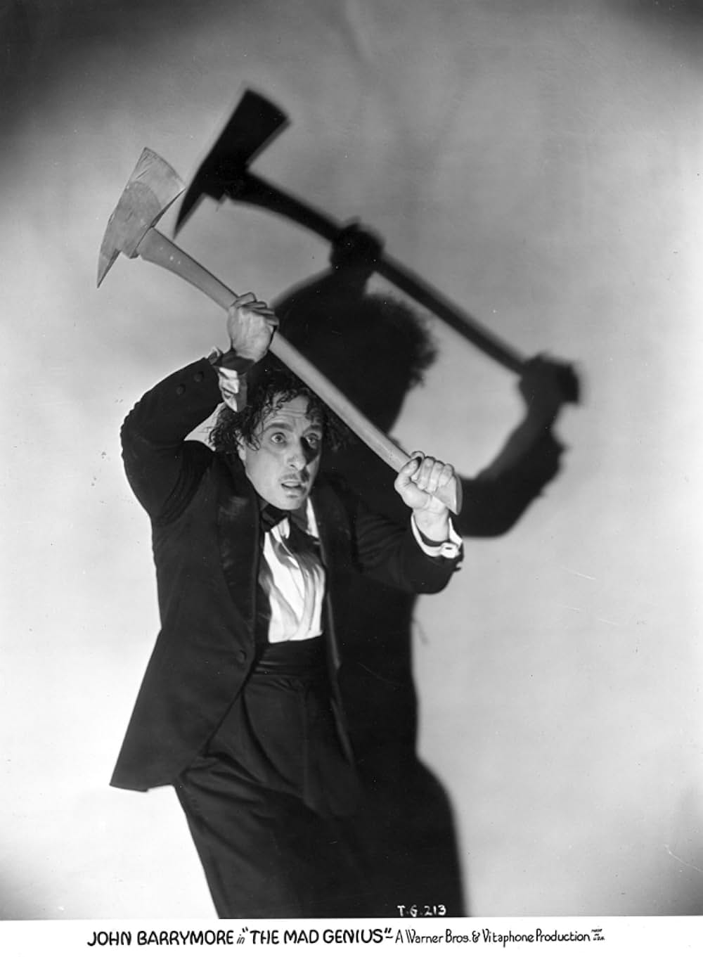 狂へる天才の写真