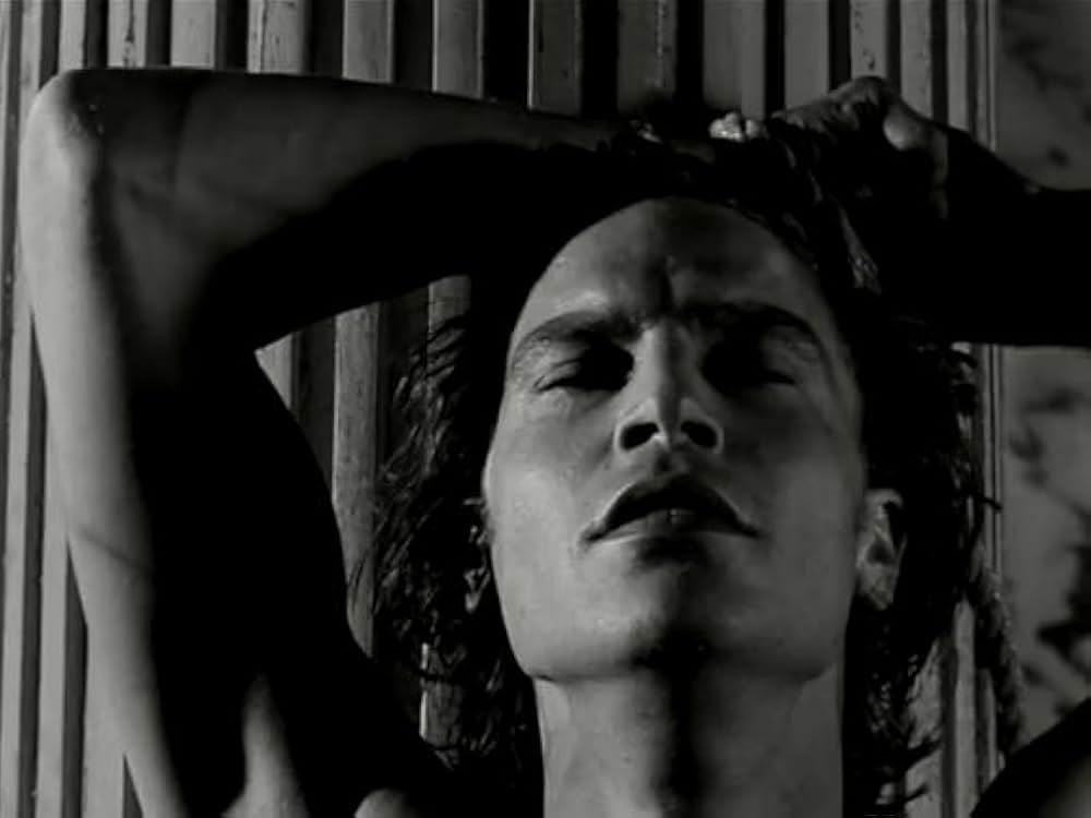 毛皮のビーナスの画像