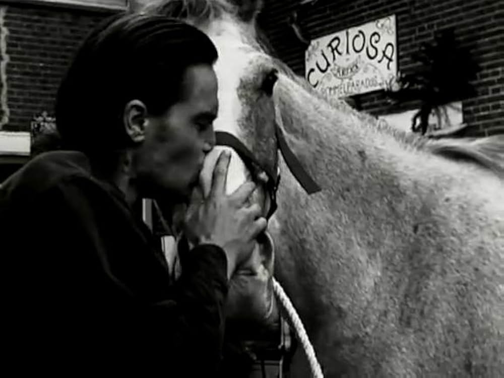 毛皮のビーナスの画像