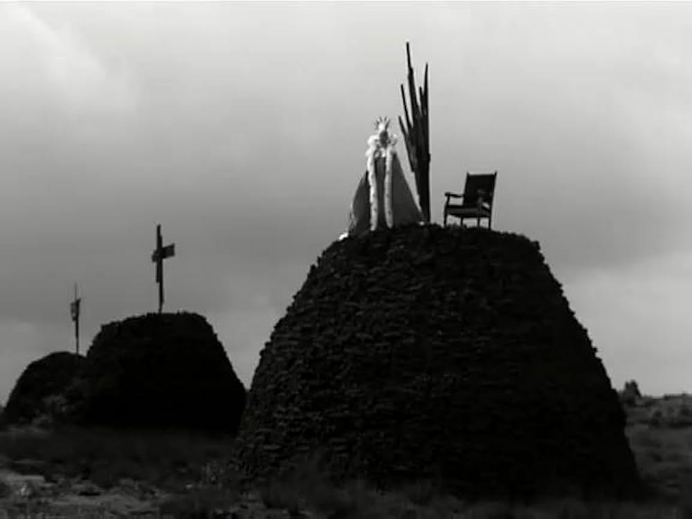 毛皮のビーナスの画像