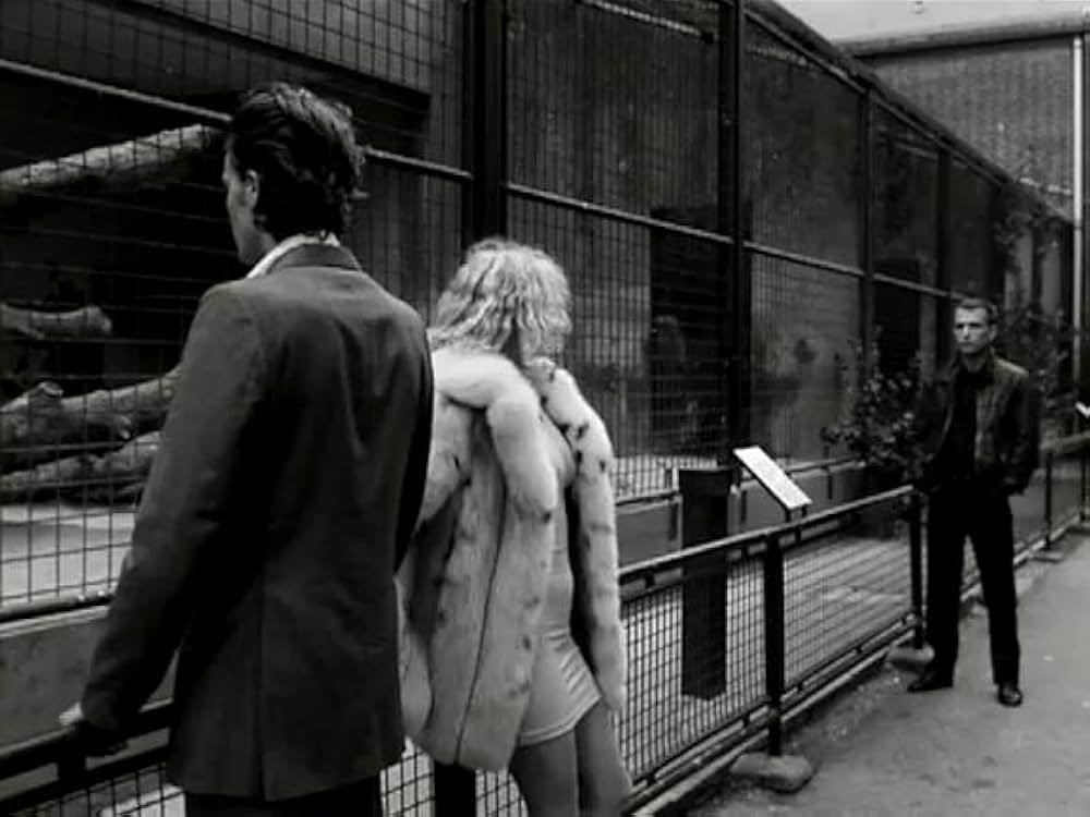 毛皮のビーナスの画像