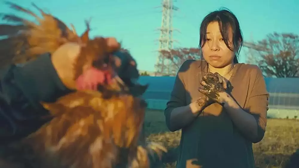 恋人たちの画像