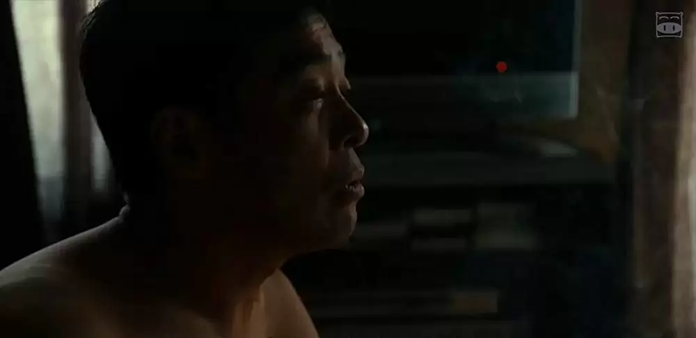 恋人たちの画像