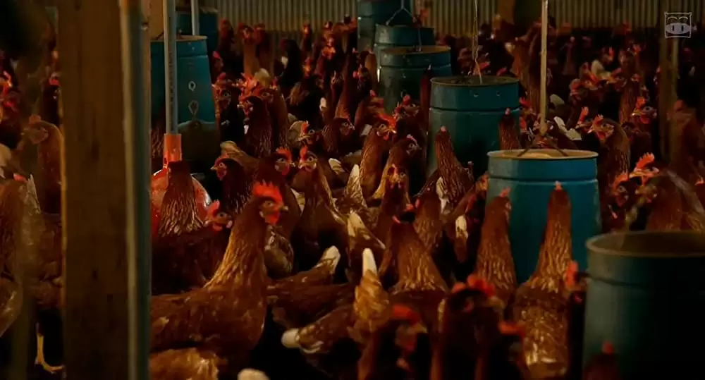 恋人たちの画像